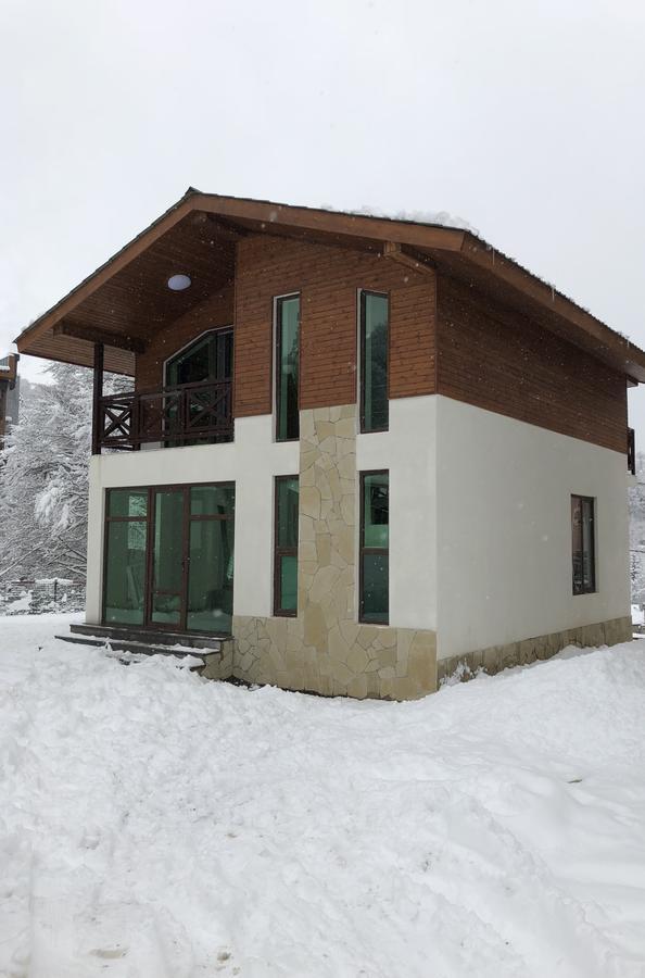 Cottage In Bakuriani Εξωτερικό φωτογραφία